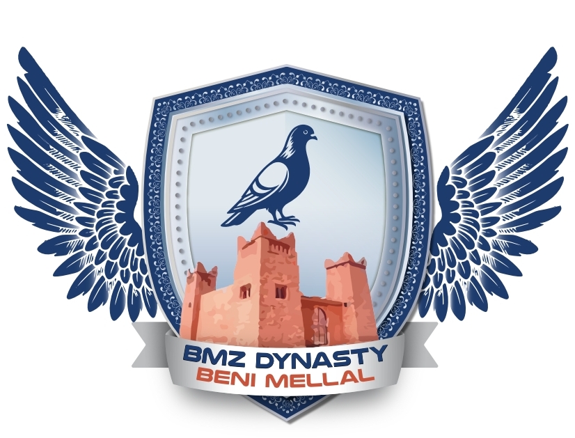 BMZ DYNASTY